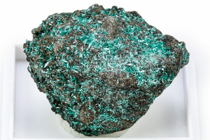 Beautiful Blue-Green Botallackite Crystal Cluster - England #305595